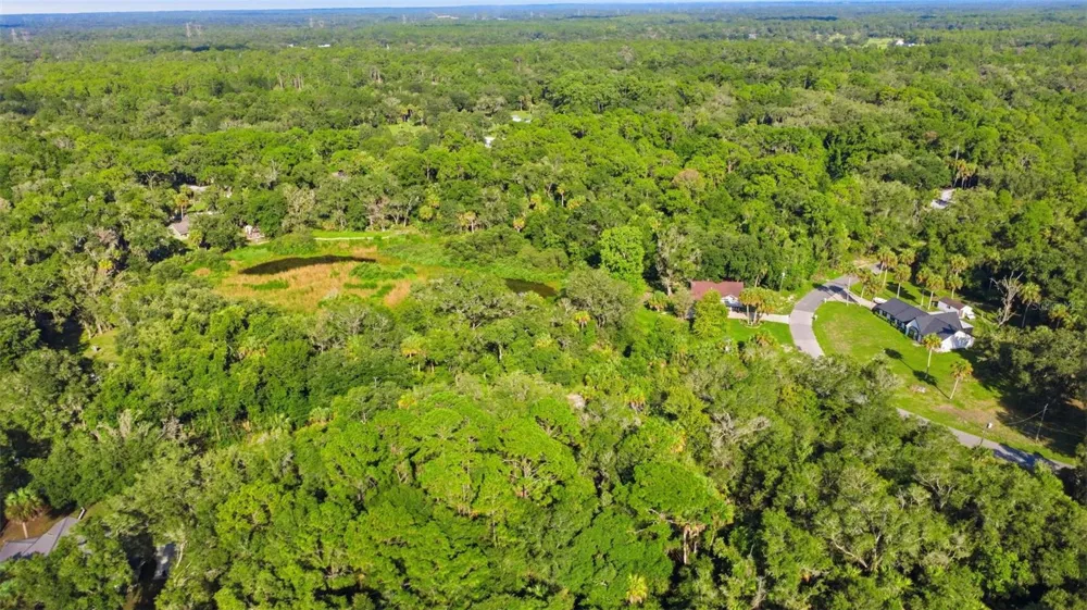 5995 BROOKGREEN DRIVE Crystal River, FL 34428