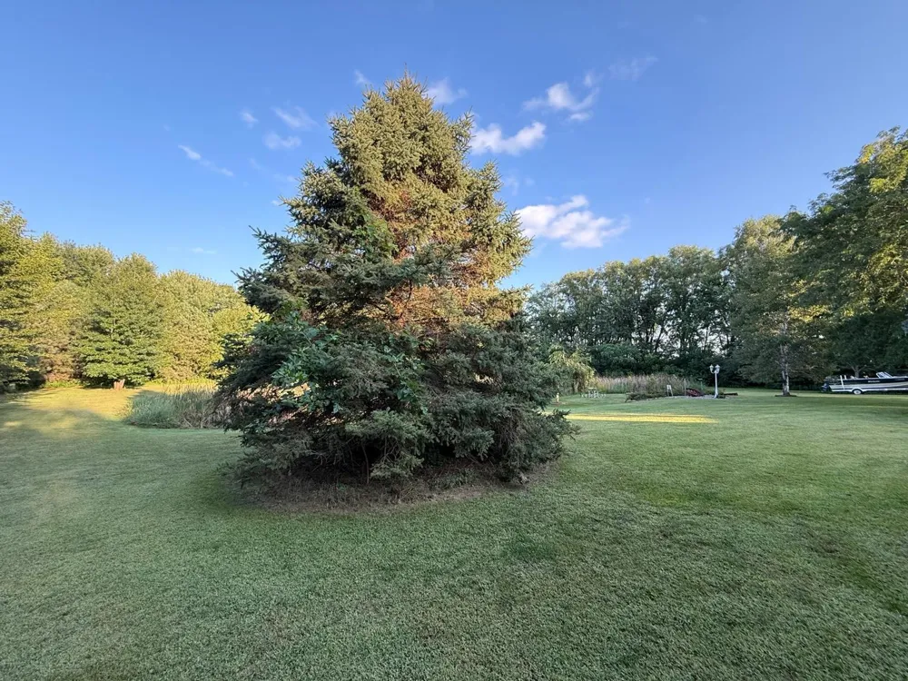310 D Scholten Drive Steen, MN 56173