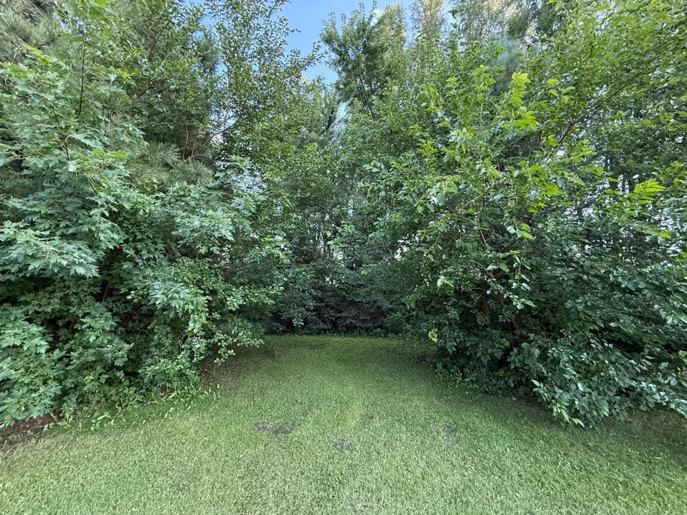 310 D Scholten Drive Steen, MN 56173
