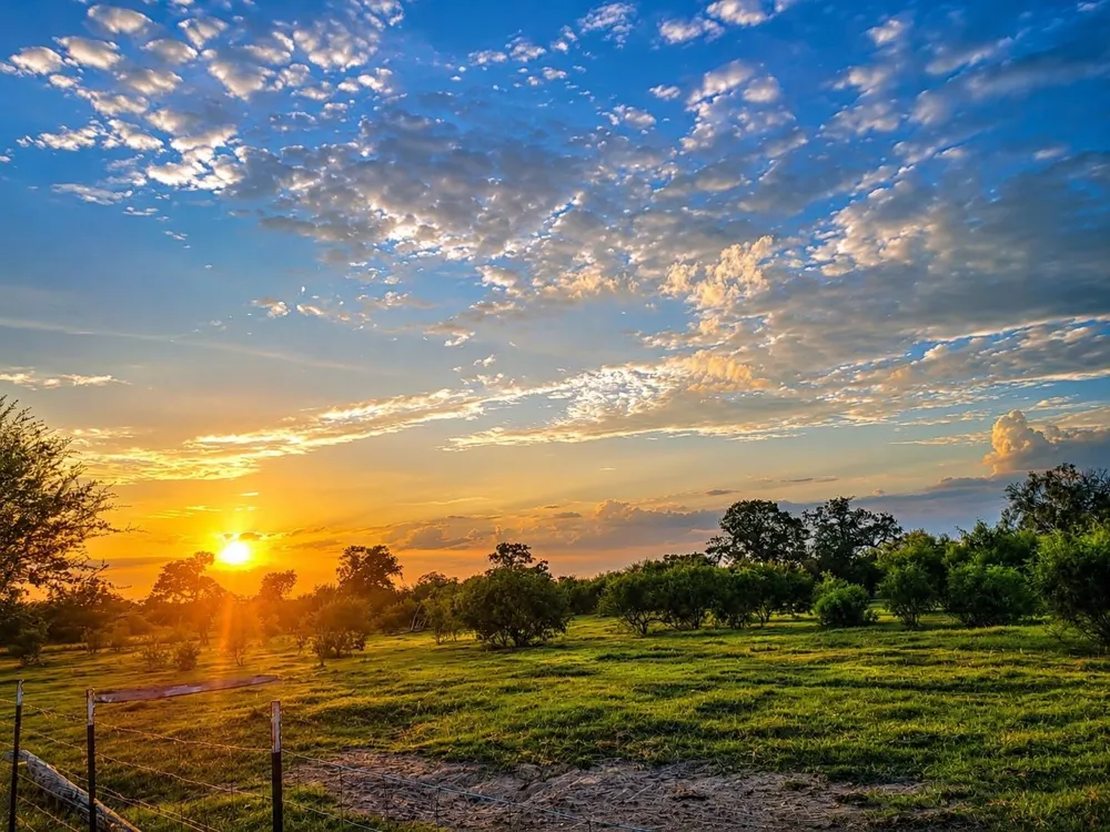 796 Shelly Road Refugio, TX 78377