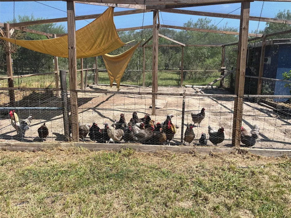 796 Shelly Road Refugio, TX 78377