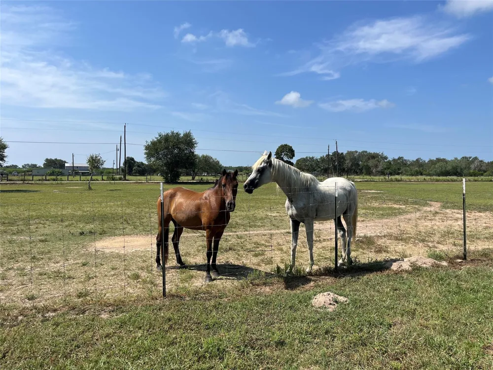 796 Shelly Road Refugio, TX 78377