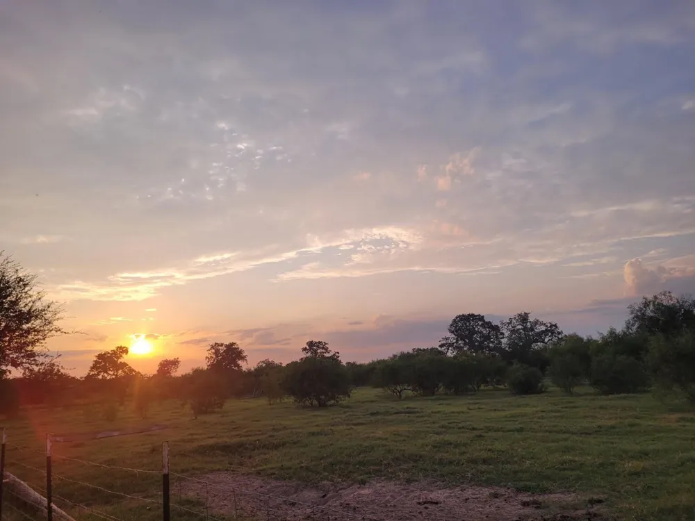 796 Shelly Road Refugio, TX 78377