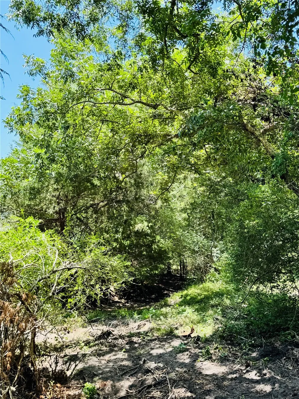 4565 Kubenka Schulenburg, TX 78956