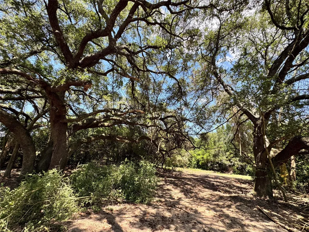 4565 Kubenka Schulenburg, TX 78956
