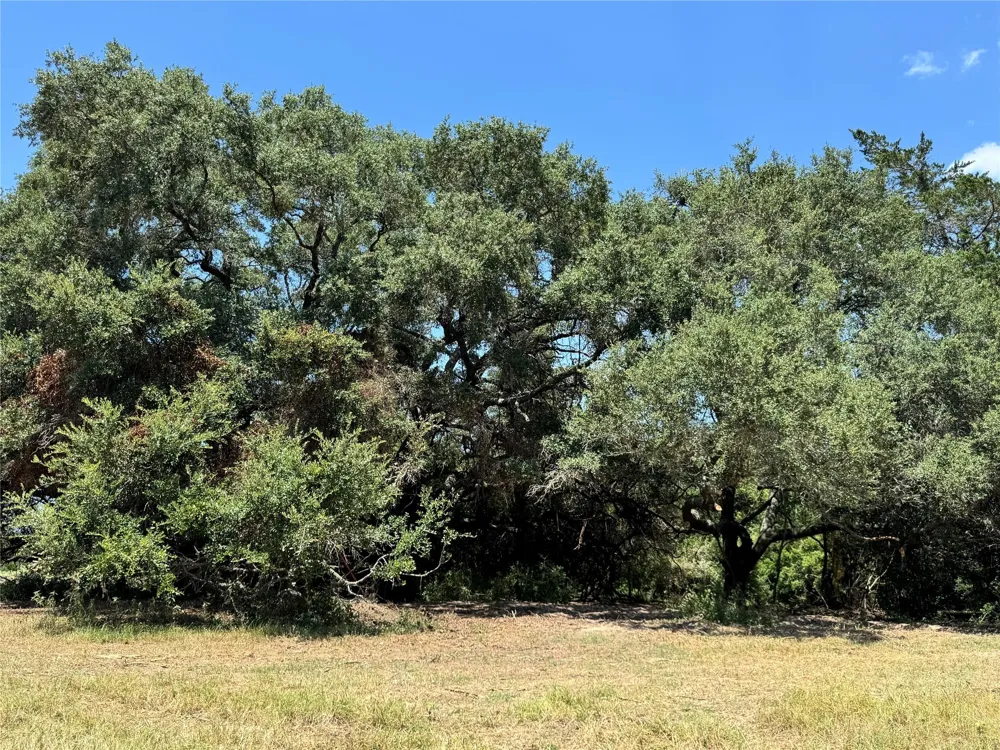 4565 Kubenka Schulenburg, TX 78956