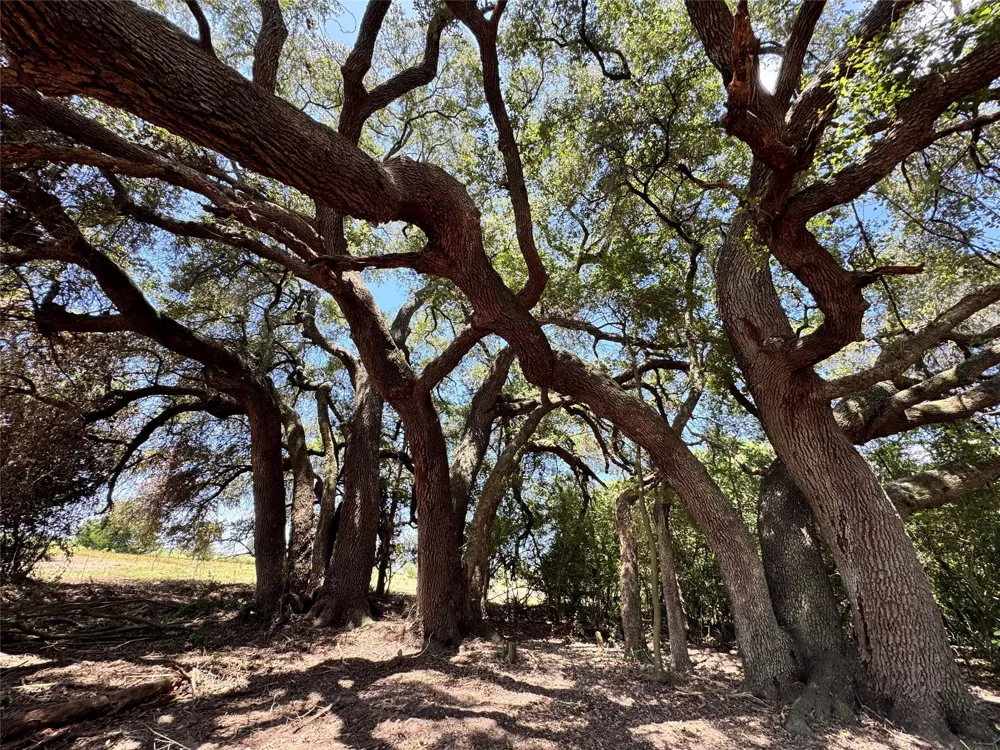 4565 Kubenka Schulenburg, TX 78956