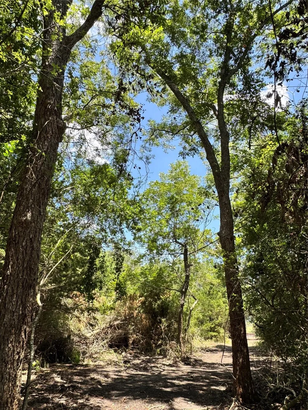 4565 Kubenka Schulenburg, TX 78956