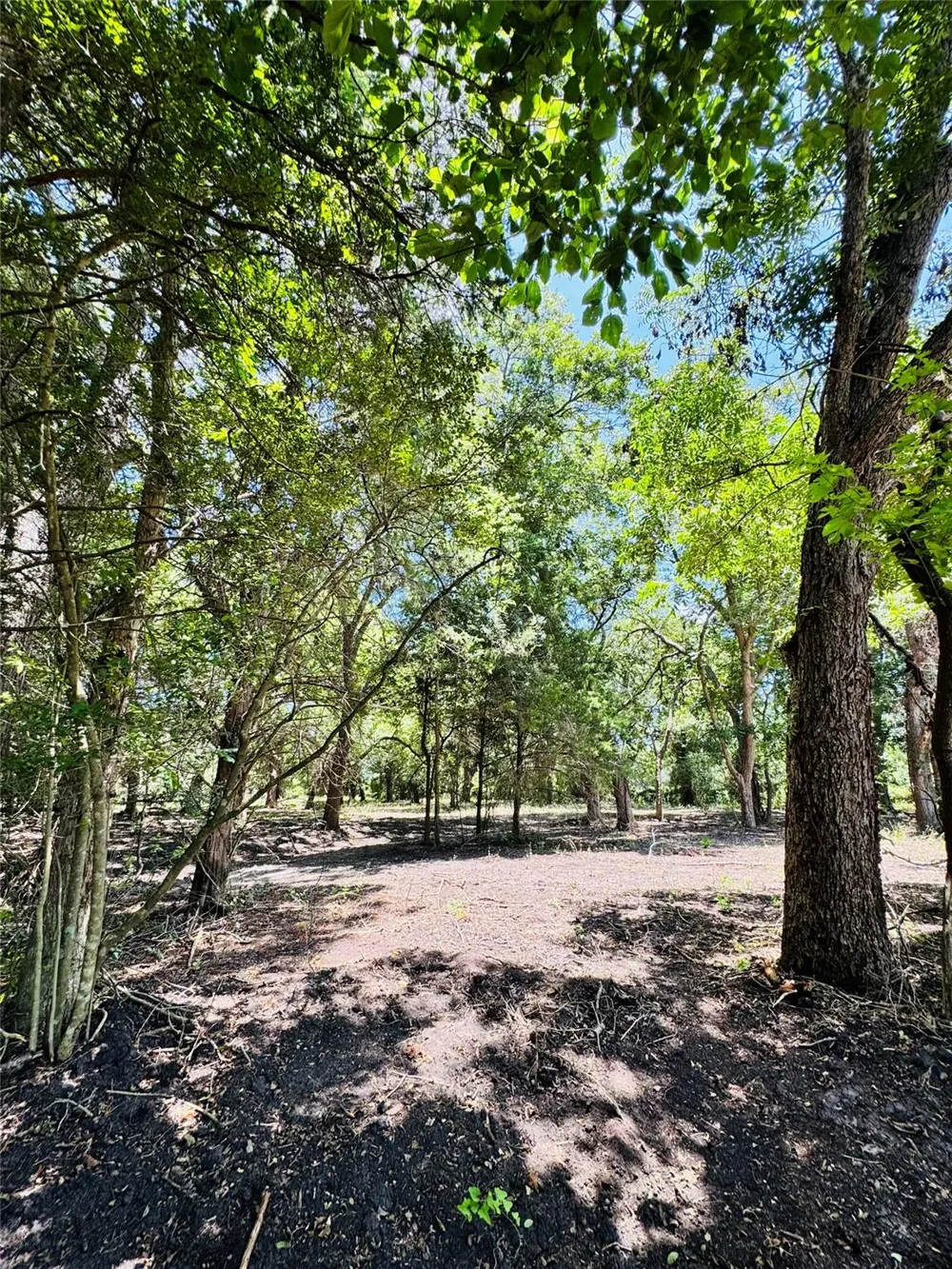 4565 Kubenka Schulenburg, TX 78956