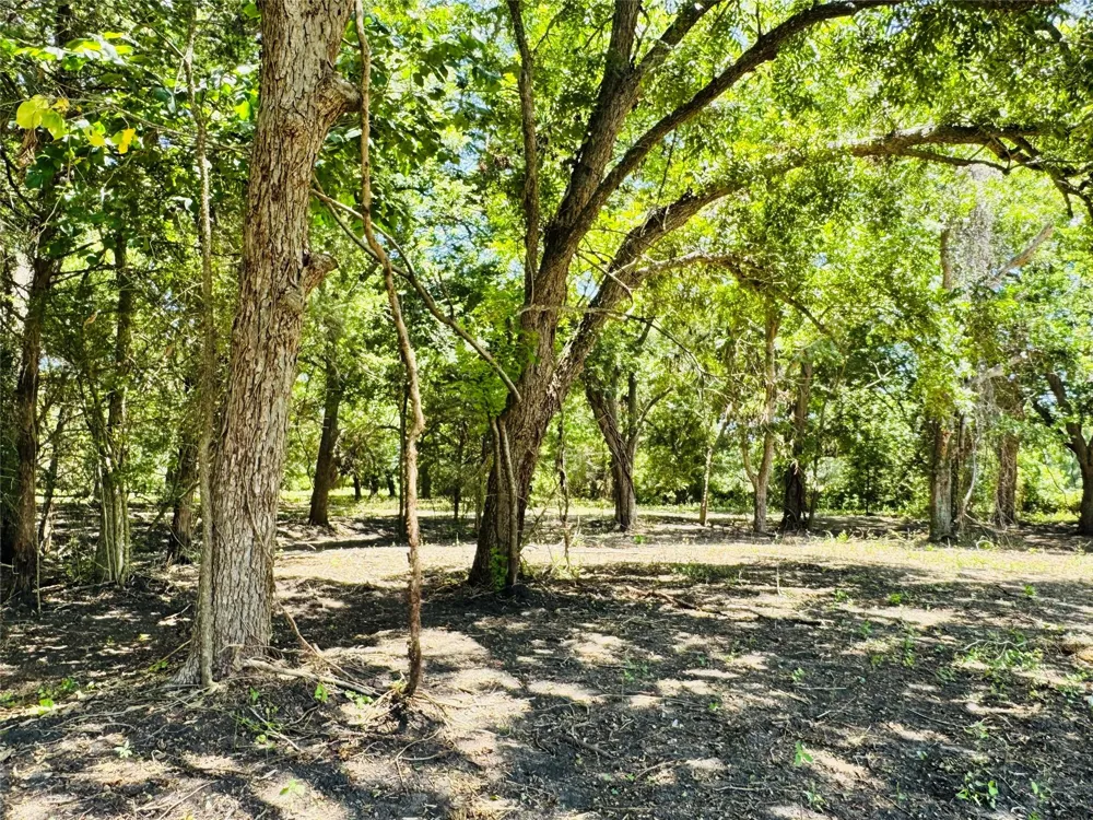 4565 Kubenka Schulenburg, TX 78956