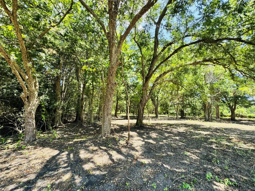 4565 Kubenka Schulenburg, TX 78956