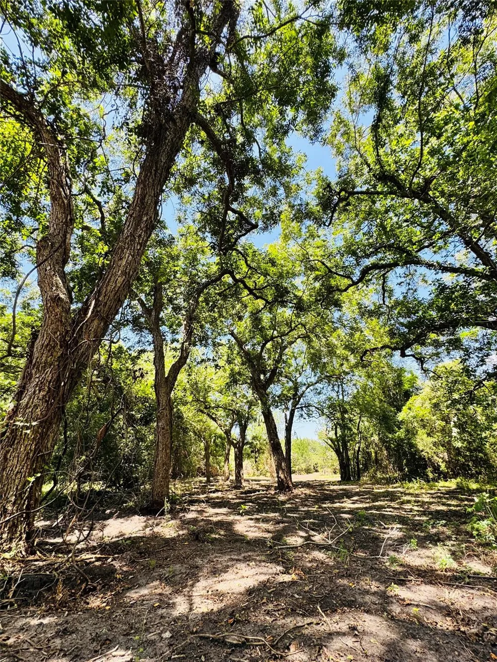 4565 Kubenka Schulenburg, TX 78956
