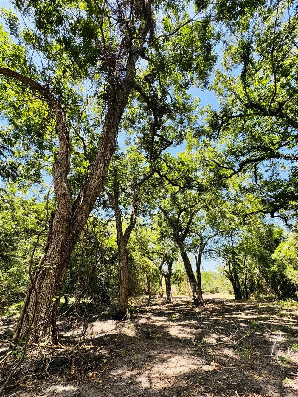 4565 Kubenka Schulenburg, TX 78956