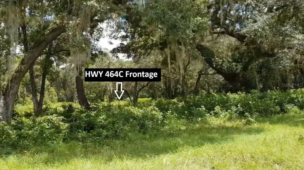 9438 SE HWY 464C SE Ocklawaha, FL 32179