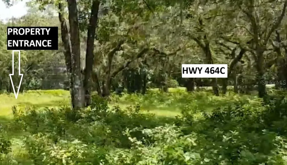 9438 SE HWY 464C SE Ocklawaha, FL 32179