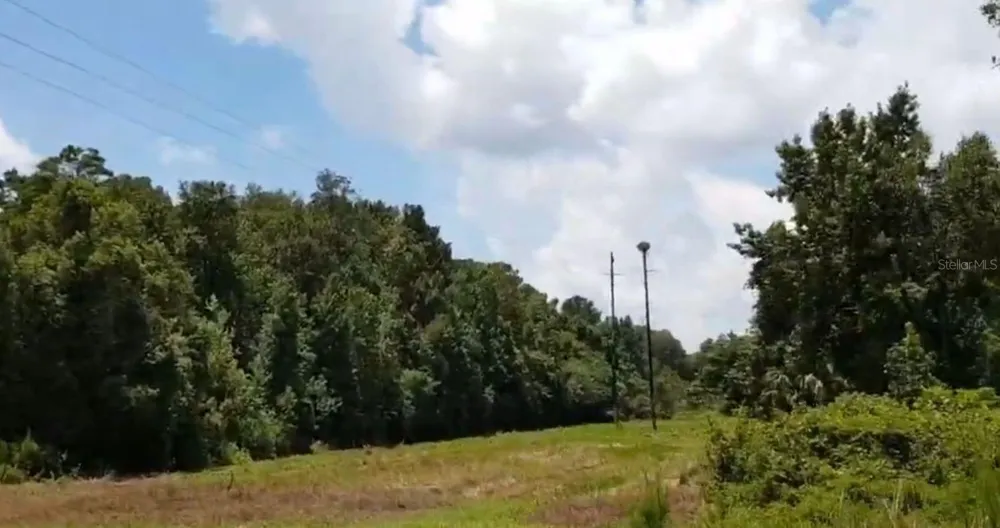 9438 SE HWY 464C SE Ocklawaha, FL 32179