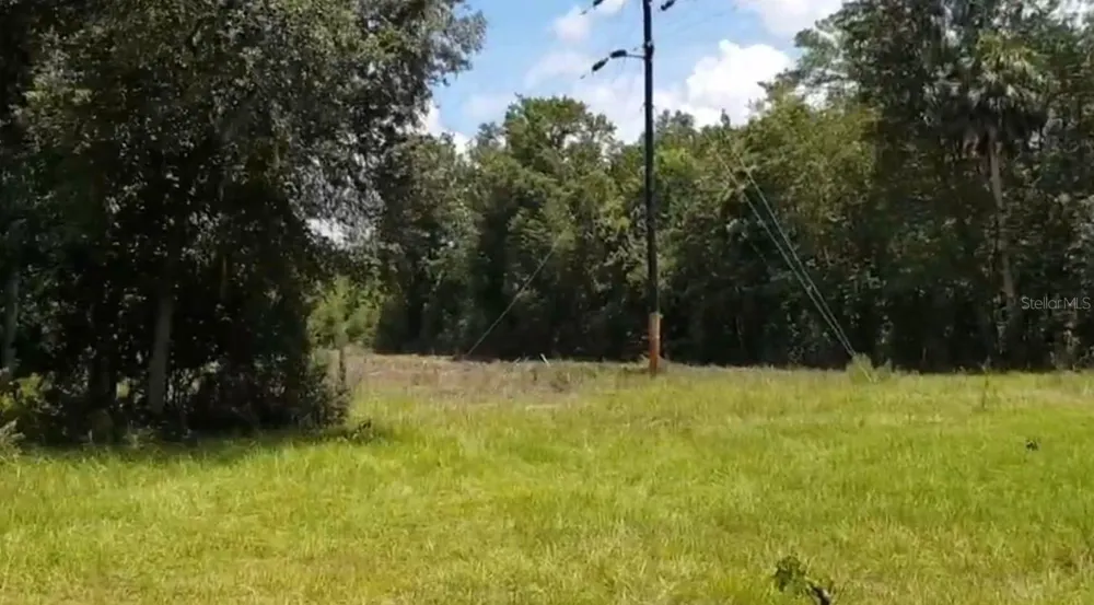 9438 SE HWY 464C SE Ocklawaha, FL 32179