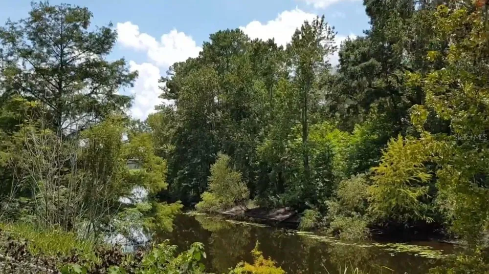 9438 SE HWY 464C SE Ocklawaha, FL 32179