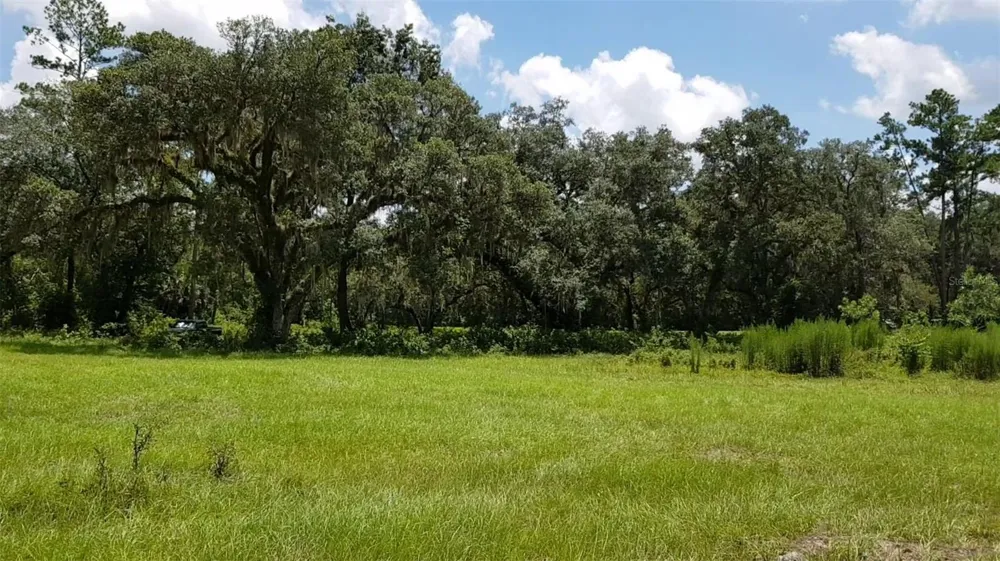 9438 SE HWY 464C SE Ocklawaha, FL 32179