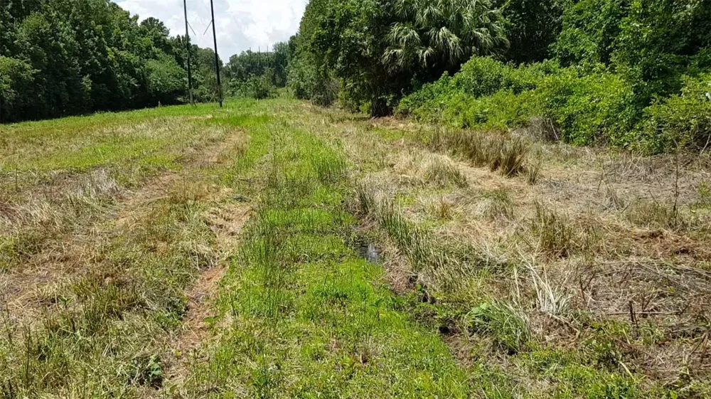 9438 SE HWY 464C SE Ocklawaha, FL 32179