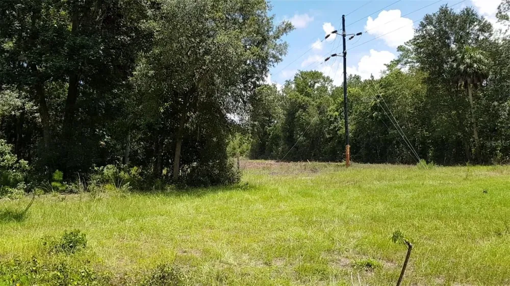 9438 SE HWY 464C SE Ocklawaha, FL 32179