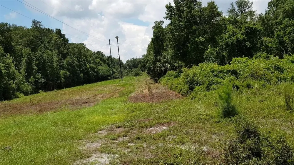9438 SE HWY 464C SE Ocklawaha, FL 32179