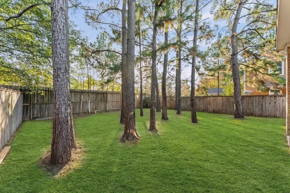 31 Pleasant Point Place Spring, TX 77389