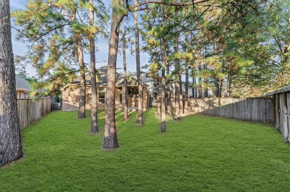 31 Pleasant Point Place Spring, TX 77389