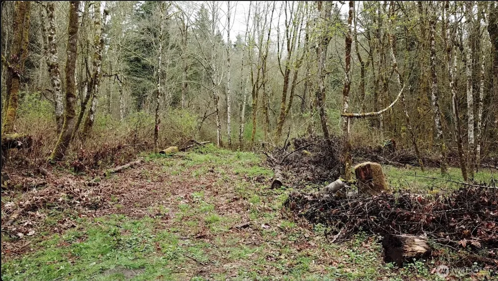 19009 51st Avenue SE Bothell, WA 98012