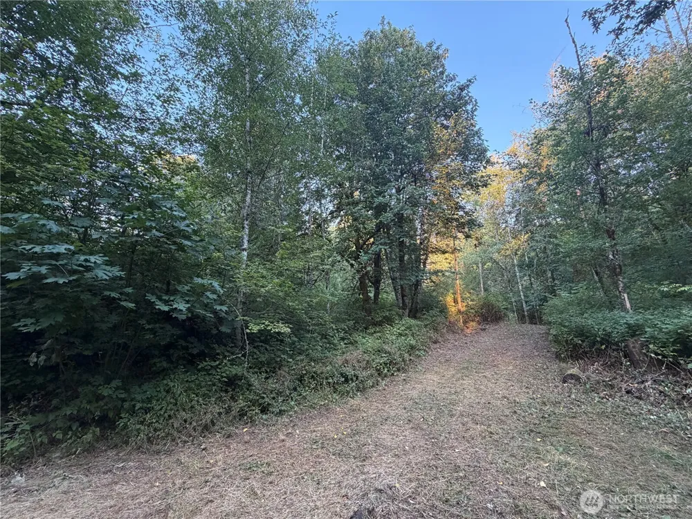 19009 51st Avenue SE Bothell, WA 98012