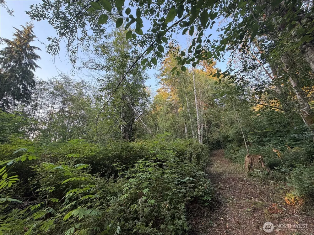 19009 51st Avenue SE Bothell, WA 98012
