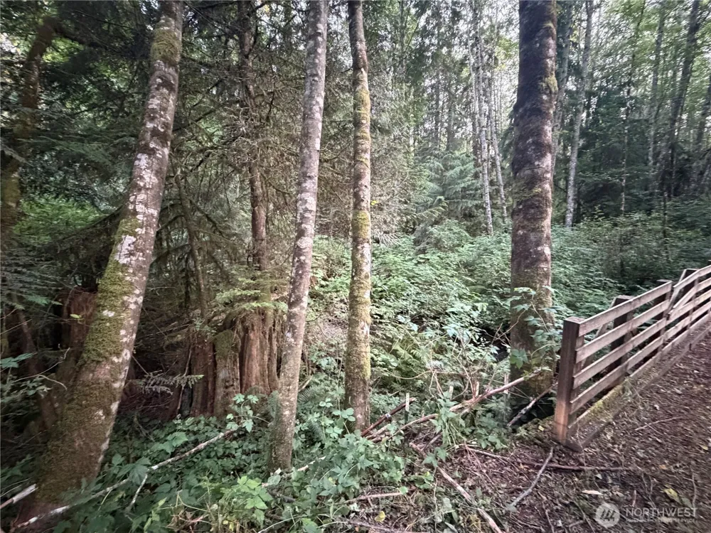 19009 51st Avenue SE Bothell, WA 98012
