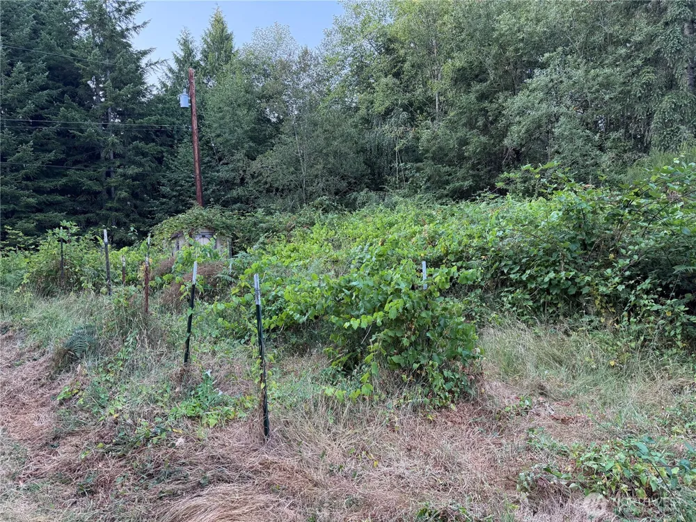 19009 51st Avenue SE Bothell, WA 98012