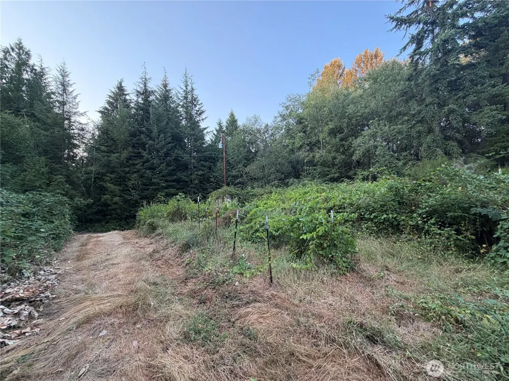 19009 51st Avenue SE Bothell, WA 98012