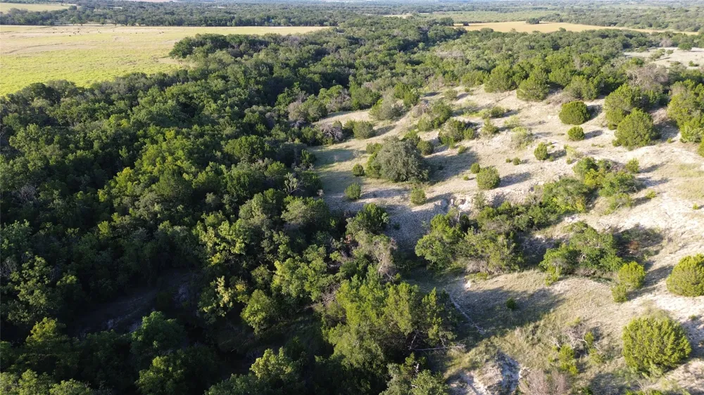 CR 244 Comanche, TX 76442