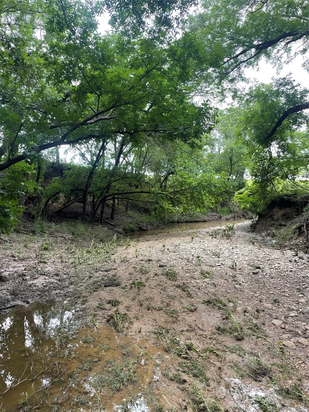 CR 244 Comanche, TX 76442
