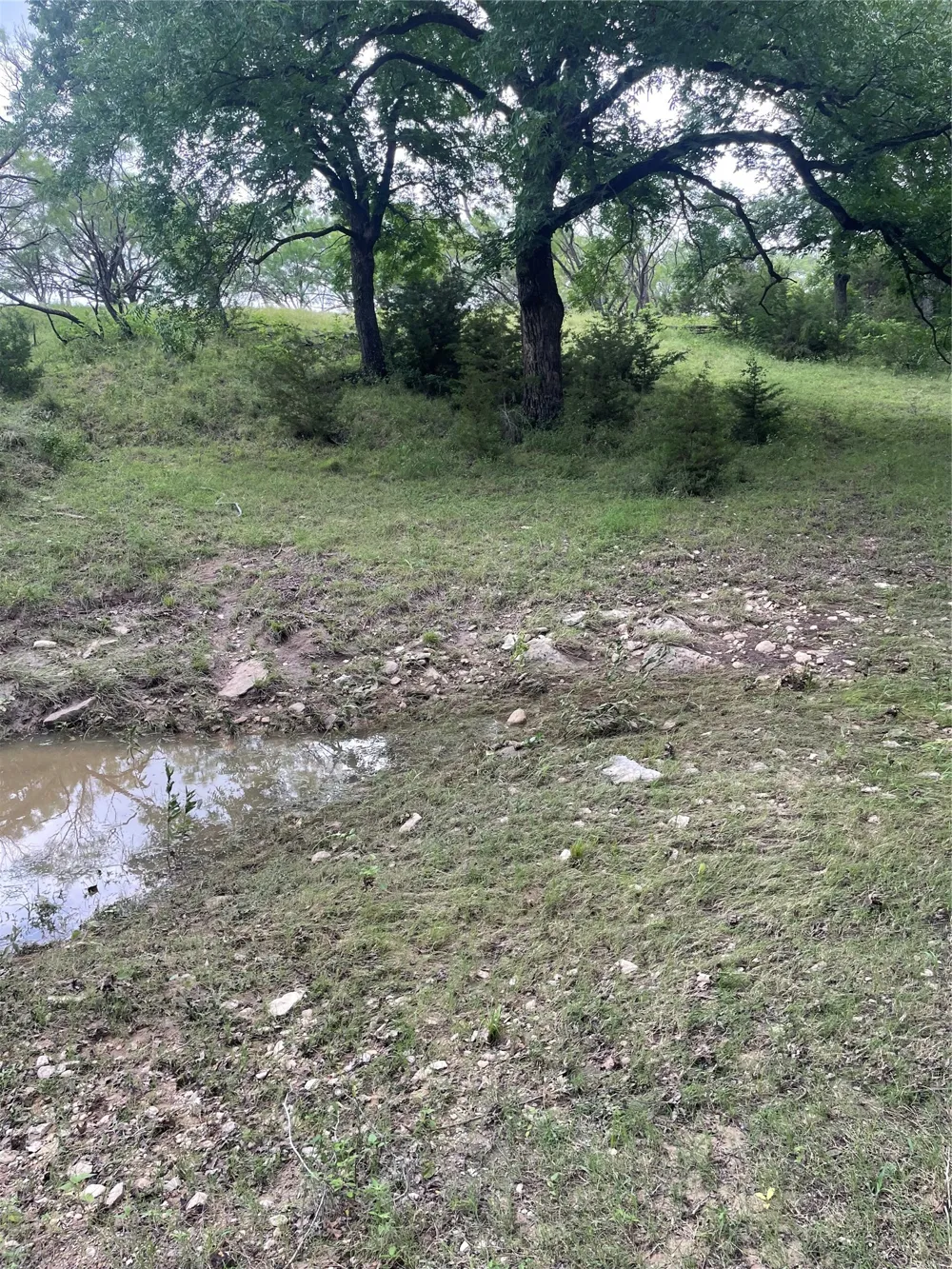 CR 244 Comanche, TX 76442