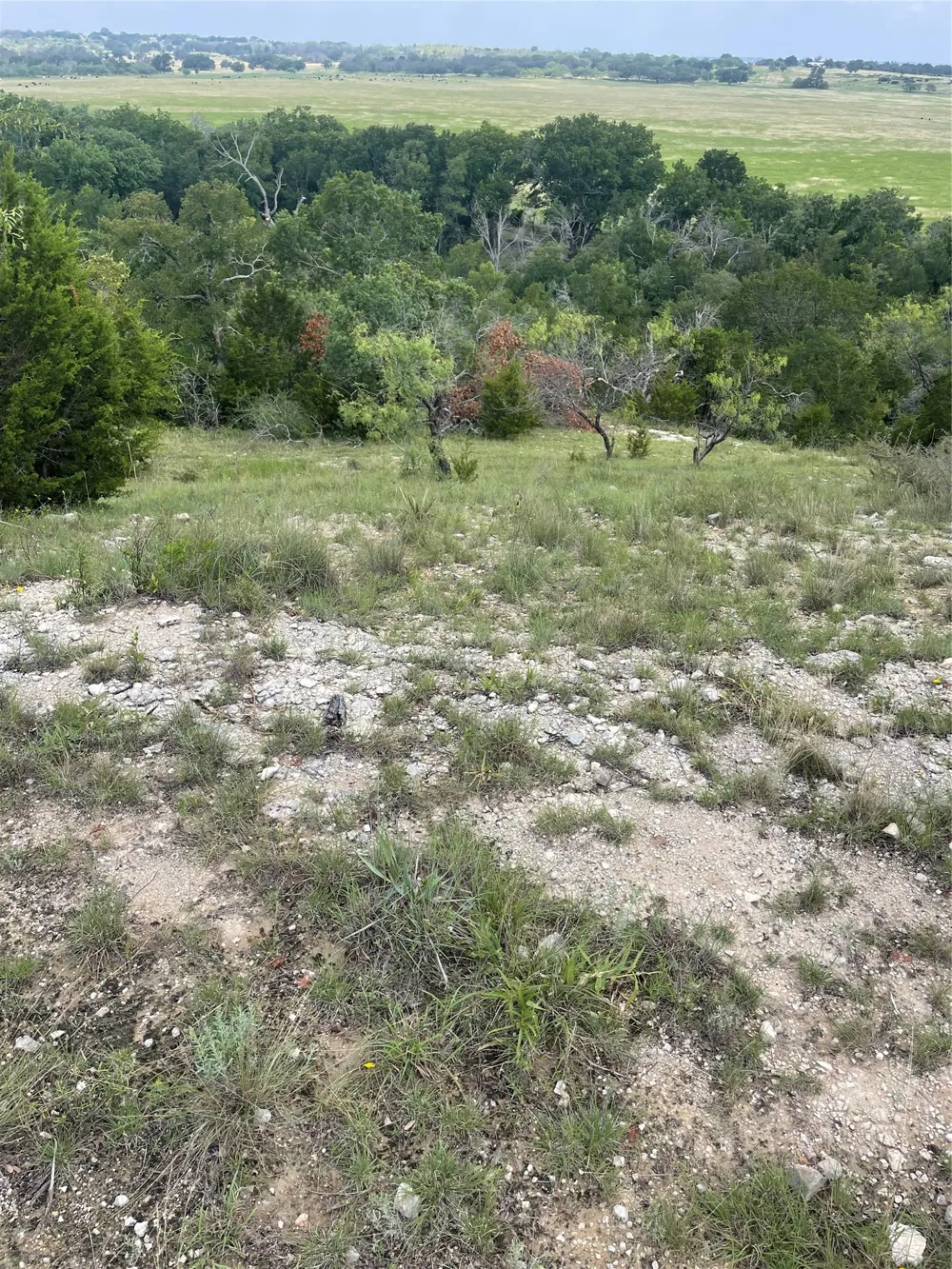 CR 244 Comanche, TX 76442