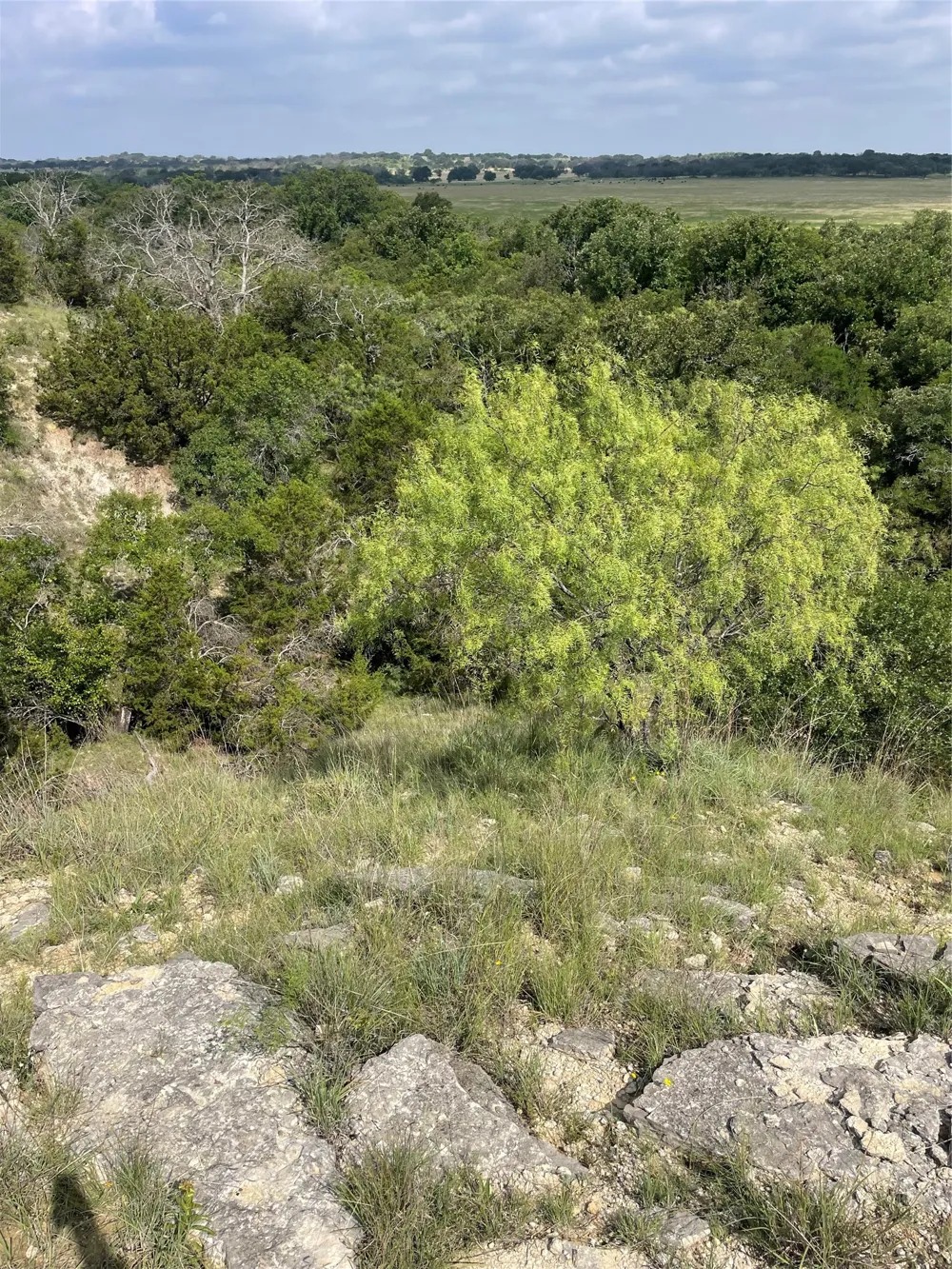 CR 244 Comanche, TX 76442
