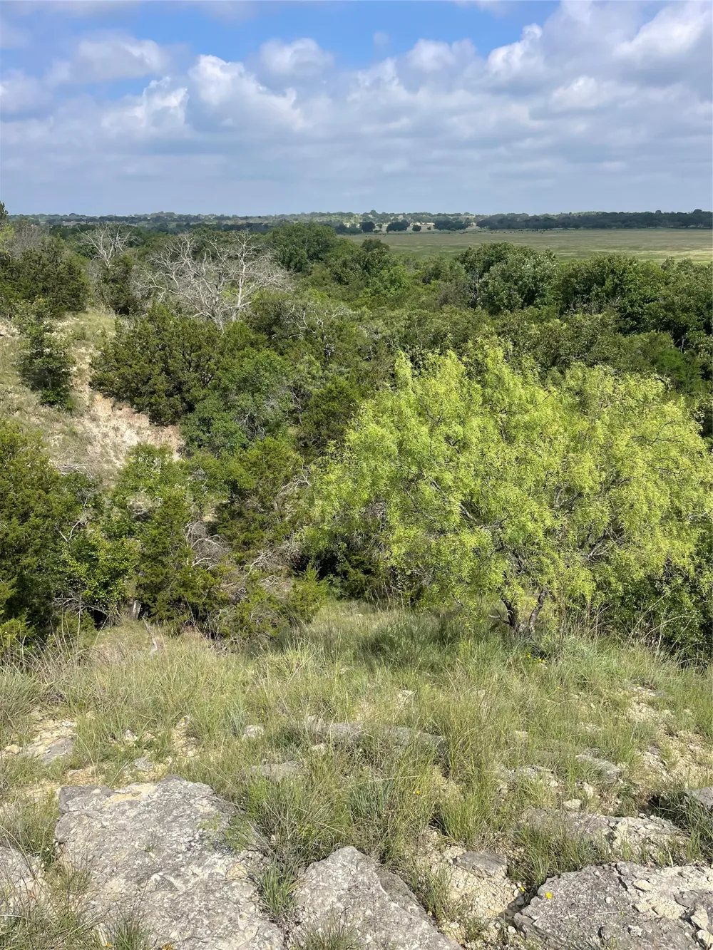 CR 244 Comanche, TX 76442