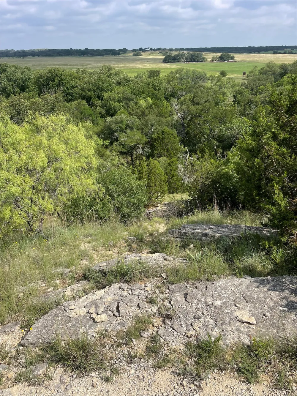 CR 244 Comanche, TX 76442