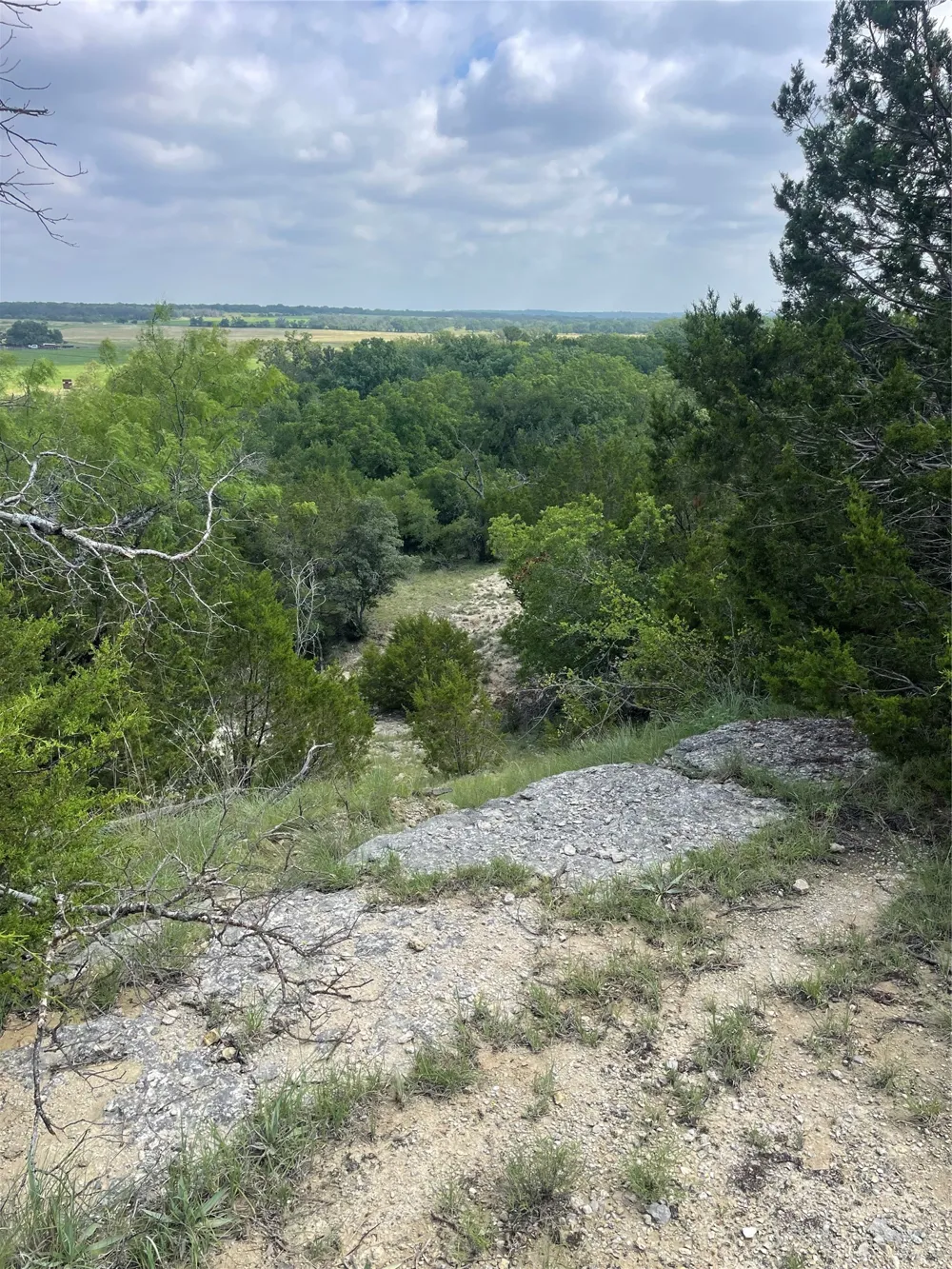CR 244 Comanche, TX 76442
