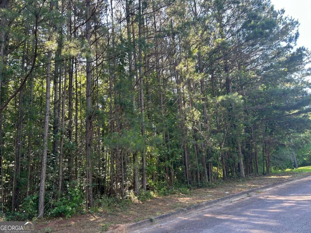136 Harrison PL Hampton, GA 30228