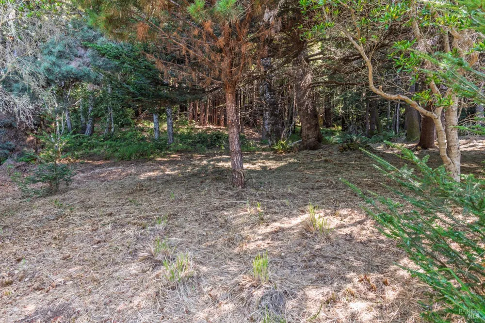 332 Antler Close The Sea Ranch, CA 95497