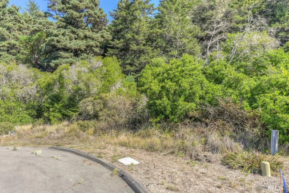 332 Antler Close The Sea Ranch, CA 95497