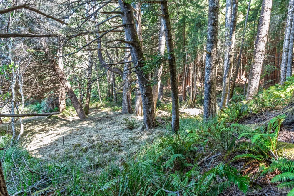 332 Antler Close The Sea Ranch, CA 95497
