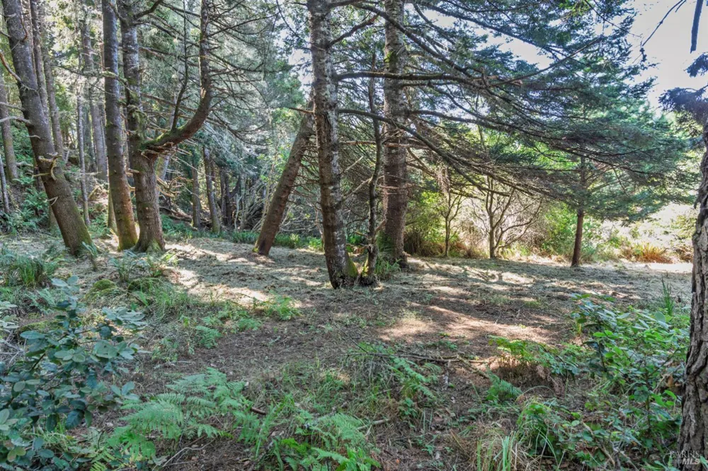 332 Antler Close The Sea Ranch, CA 95497