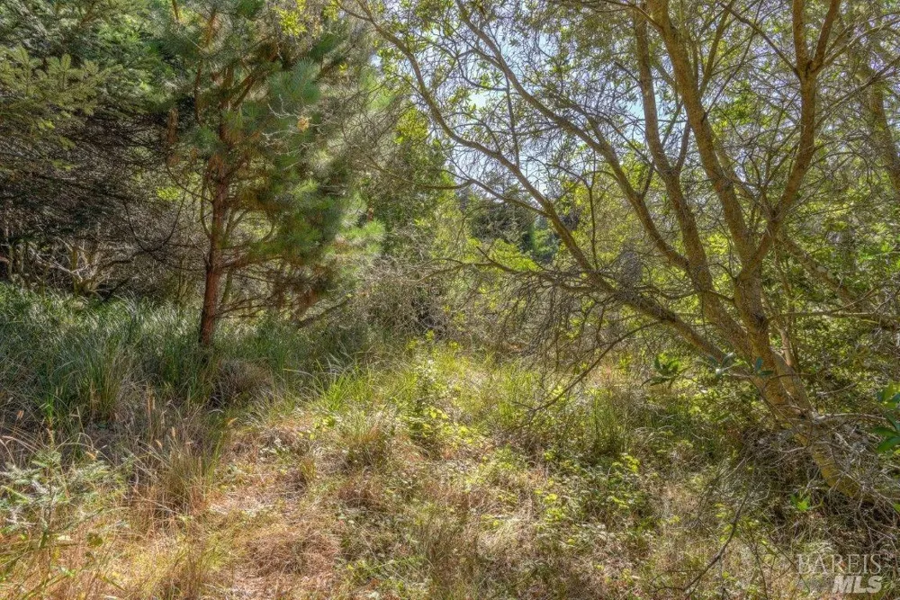 332 Antler Close The Sea Ranch, CA 95497
