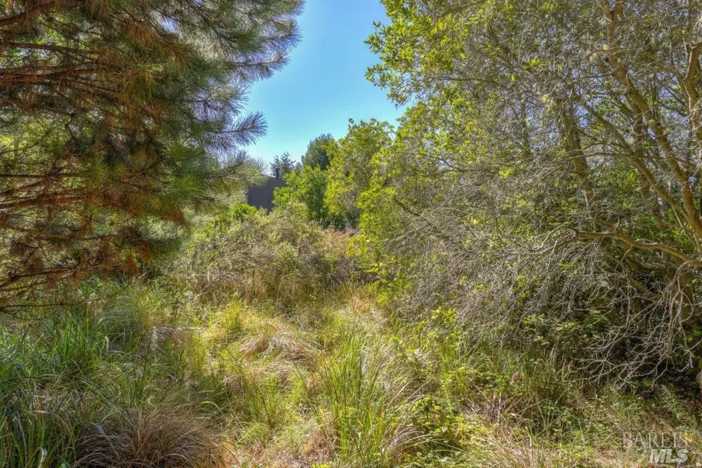 332 Antler Close The Sea Ranch, CA 95497