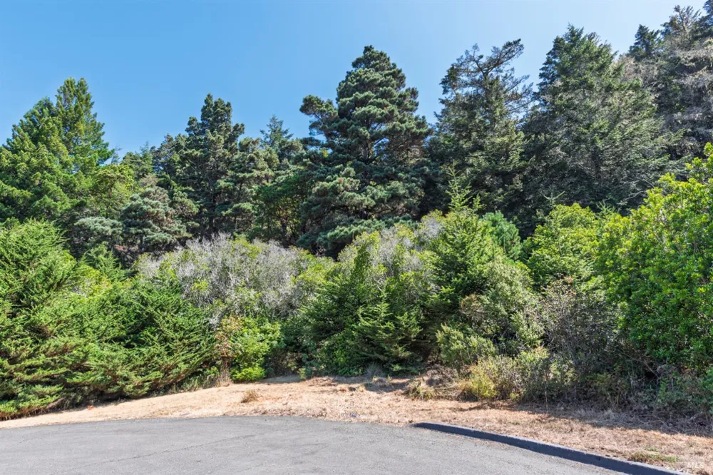 332 Antler Close The Sea Ranch, CA 95497